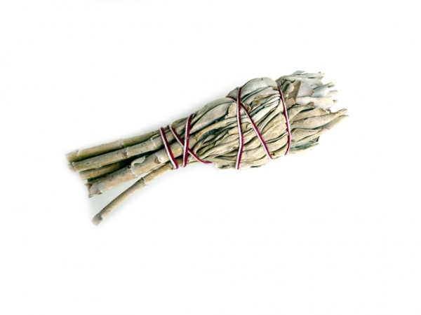 natürlicher weißer Salbei Gr. S, 15 -20 g - Smudge Stick - white Sage -