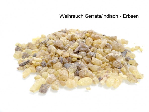 Weihrauch indisch - Boswellia serrata - naturbelassene Erbsen